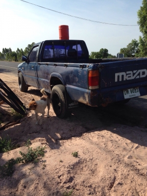 ขายด่วน