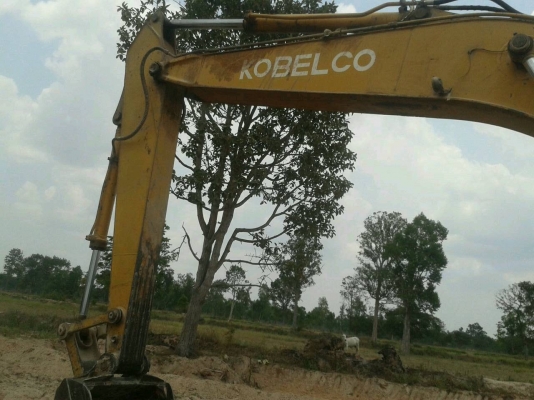 ขายแบคโฮ kobelco