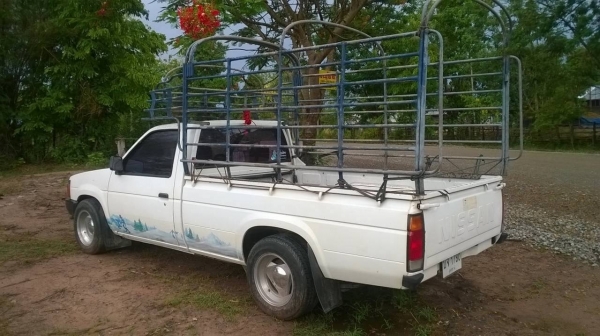 ขายกระบะ NISSAN ตอนเดียว ปี 33 เครื่อง TD27 ฝาดำ คัสซีสวยตลอดเส้น แอร์ พาวเวอร์ เครื่องเสียง ทะเบียนพร้อมโอนครับ ขายกระบะ NISSAN ตอนเดียว ปี 33 เครื่อง TD27 ฝาดำ คัสซีสวยตลอดเส้น แอร์ พาวเวอร์ เครื่องเสียง ทะเบียนพร้อมโอนครับ