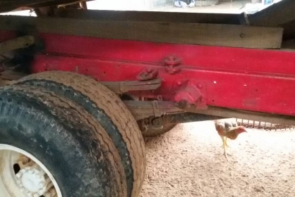 ขายรถดั้ม km 340 เครื่่องดีการันตีได้ ดูรายละเอียด(ติดต่อเบอร์0933211731 ) ขายรถดั้ม km 340 เครื่่องดีการันตีได้ ดูรายละเอียด(ติดต่อเบอร์0933211731 )