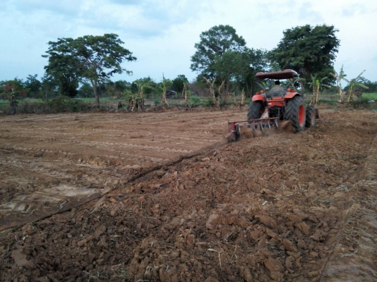 ขาย M7040 สภาพสวยมาก 480000