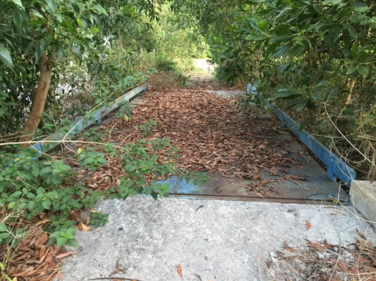 ขายตาชั่ง 50 ตันและตู้ออฟฟิต ของใหม่ยังไม่ใช้ ติดตั้งใหม่หมด ขายยกไปเลย 350000