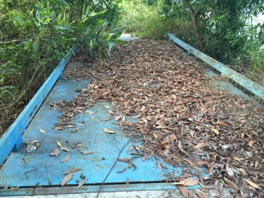 ขายตาชั่ง 50 ตันและตู้ออฟฟิต ของใหม่ยังไม่ใช้ ติดตั้งใหม่หมด ขายยกไปเลย 350000