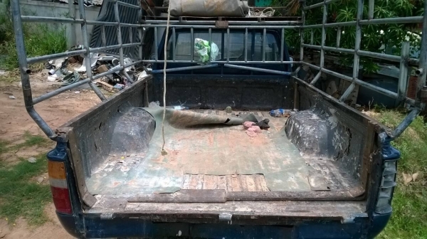 ขายกระบะตอนเดียว ไมตี้เอกซ์ ปี 36 เครื่องดีไม่หลวม คัสซีสวยตลอดเส้น กระบะนิดหน่อย ทะเบียนพร้อมครับ