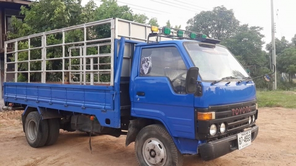 ขาย6ล้อบรรทุก TOYOTA DYNA115 14B พร้อมแพงเหล็กข้างเสริม พื้นเหล็กเครื่องดี แชชซีสวย สภาพพร้อมใช้งาน เอกสารเล่มทะเบียนพร้อมโอน