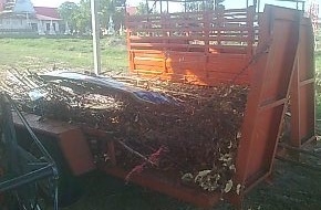 KUBOTA DC-60 + หางพ่วงลากรถเกี่ยว สภาพดีทั้งรถเกี่ยวข้าวและหางพร้อมทำงานได้เลยครับ รถเกี่ยวแบบรองกระสอบ เครื่องยนต์แรงดีมากครับไม่มีเยิ้มใช้งานประหยัดน้ำมันดีครับ มีเอกสารเล่มทะเบียนครบพร้อมโอน ราคาต่อรองได้ครับ