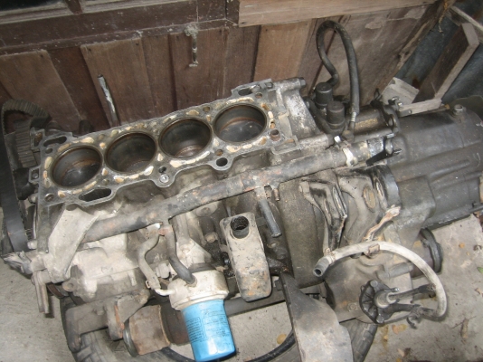 ขายแอค คอด88 วีก้าตัวนอก แท้หรือหาแลก มิร่า ครับ