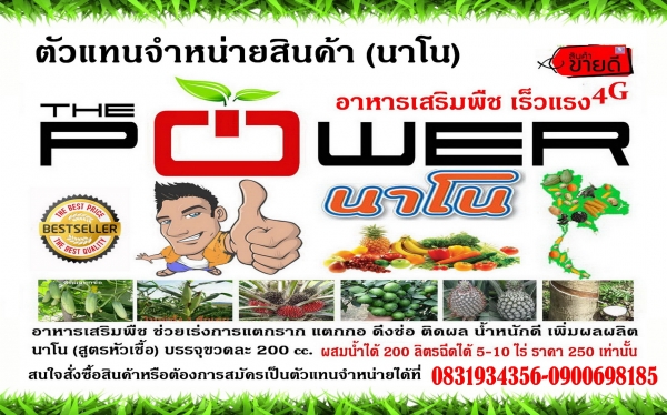 รับสมัครงาน