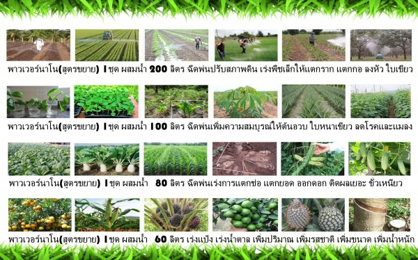 รับสมัครงาน