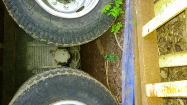 เทเลอร์บรรทุกอ้อย