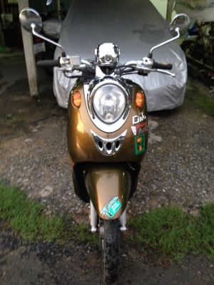 ฟีโน่ ท่ออาร์ม