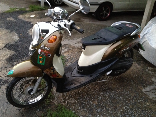 ฟีโน่ ท่ออาร์ม