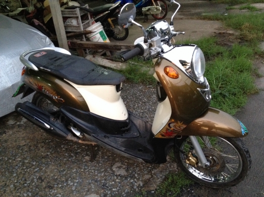 ฟีโน่ ท่ออาร์ม