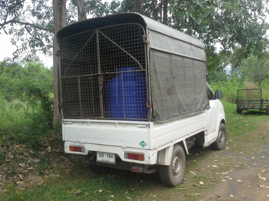 ขายกระบะsuzuki carry