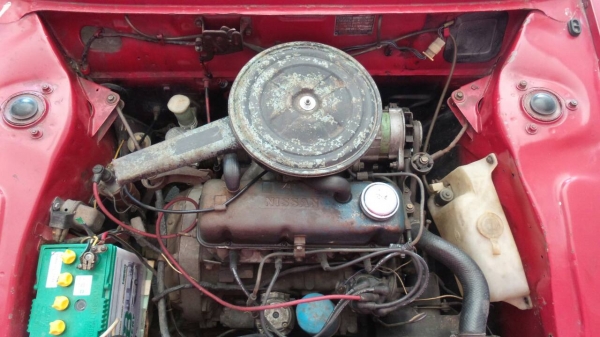 nissan cherry รถมือเดียวอายุ 41ปี