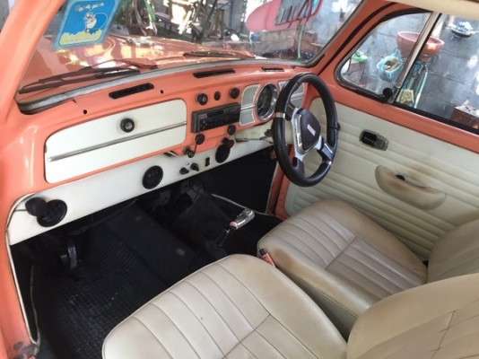 ขายเต่าปี 1969