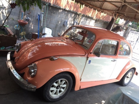 ขายเต่าปี 1969