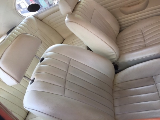 ขายเต่าปี 1969