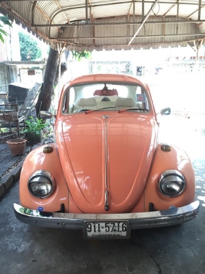 ขายเต่าปี 1969