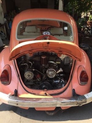 ขายเต่าปี 1969