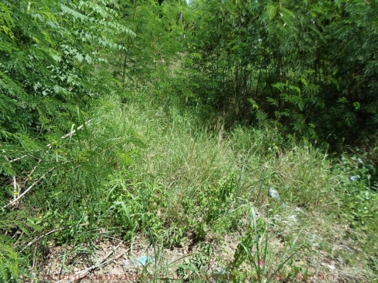 @@@  5ล้าน/ไร่ ติด ถ. นิมิตรใหม่ กทม. ด่วน   @@@