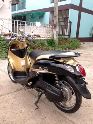 ฟีโน่เกร์แยก ปลายปี 55