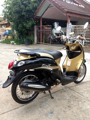 ฟีโน่เกร์แยก ปลายปี 55