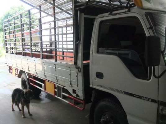 ขายด่วน NPR 130 ปี 49