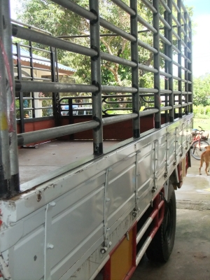 ขายด่วน NPR 130 ปี 49