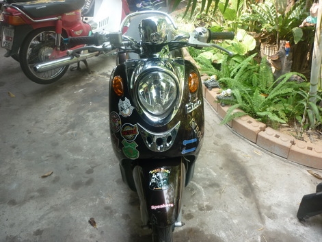 ขาย ยามาฮ่า ฟีโน่ ปี 51 สีขาว -น้ำตาล ขาย 15500 บาท ขาย ยามาฮ่า ฟีโน่ ปี 51 สีขาว -น้ำตาล ขาย 15500 บาท