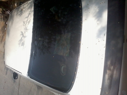 ขาย nissan sentra b13  ติดแก๊ส ราคาถูก