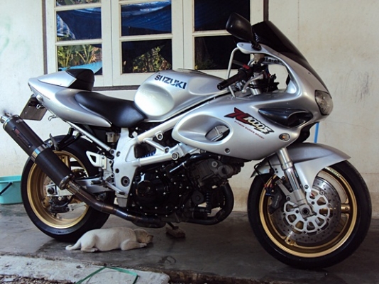 *** ขาย Suzuki TL1000S สภาพใหม่ สวย แรง *** *** ขาย Suzuki TL1000S สภาพใหม่ สวย แรง ***