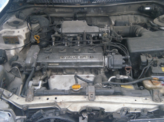 ขาย toyota corolla โดเรม่อน ขาย toyota corolla โดเรม่อน