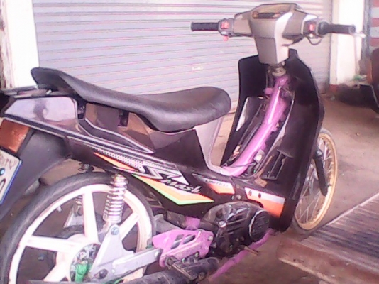 ขายชุชุกิคริชตั้น4,500.- ขายชุชุกิคริชตั้น4,500.-