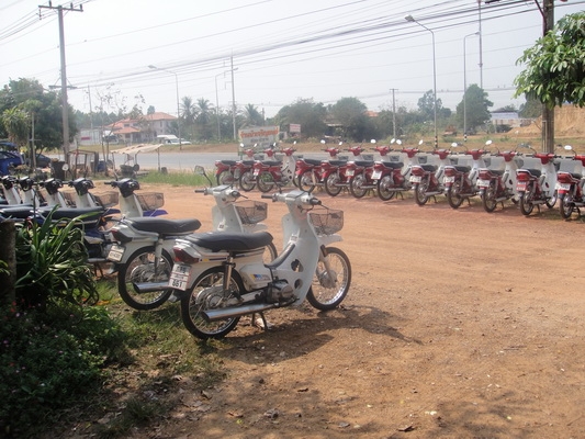 มาแว้วว ดรีมคุรุสภา ล็อตใหม่ เดิมๆๆสวยพร้อมใช้ ( ทะเบียนพร้อมชุดโอน )