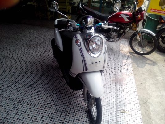 ขายฟีโน่ ขายฟีโน่