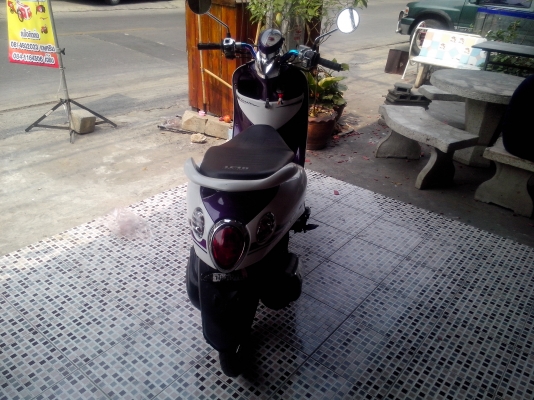 ขายฟีโน่ ขายฟีโน่