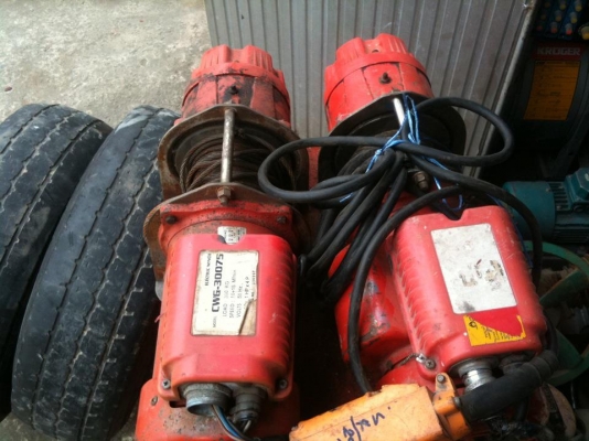 ขายรอกสลิงไฟ้า 2 ตัว ตาม สภาพ 3 สาย 1 ตัว อีกตัว 2 สาย