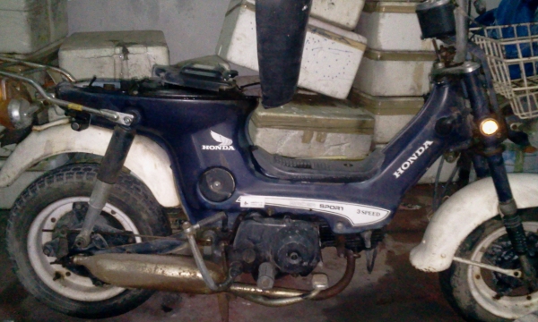 ขายชาลีเดิม ราคา 12900บาท