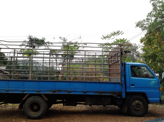 ISUZU NPR 115 HP 4BD1 ปี 36 กระบะคอกเหล็กยาว 5 เมตรสภาพสวย เครื่องแห้งแรงดี หัวเก๋งไม่มีผุภายในคอนโซลครบ เกียร์สั้น แอร์เย็น คัชซีสวย เฟืองท้ายใหญ่ติด F ครบแล้ว เอกสารทะเบียนครบพร้อมโอน ราคาต่อรองได้ครับ