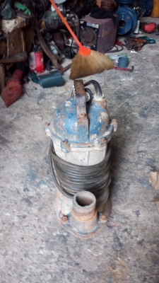 ขาย !! ไดโว่สูบน้ำ ขนาด1.5" ไฟบ้าน พร้อมใช้งาน