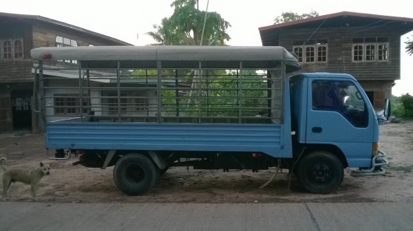 ขาย 6 ล้อ NPR ปี 42 กระบะแสตนเลสยาว 4.30 เมตร เครื่อง 4HF1 120 แรงม้า ฝาขาว พาวเวอร์ ทะเบียนพร้อมโอน ขาย 6 ล้อ NPR ปี 42 กระบะแสตนเลสยาว 4.30 เมตร เครื่อง 4HF1 120 แรงม้า ฝาขาว พาวเวอร์ ทะเบียนพร้อมโอน