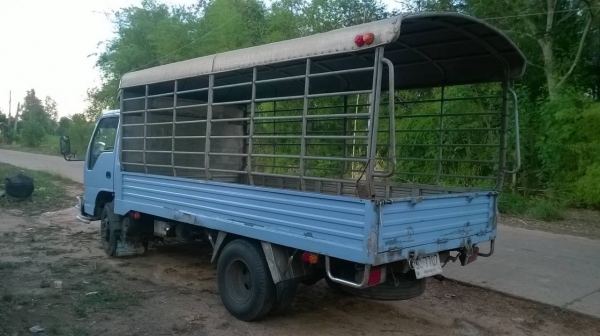 ขาย 6 ล้อ NPR ปี 42 กระบะแสตนเลสยาว 4.30 เมตร เครื่อง 4HF1 120 แรงม้า ฝาขาว พาวเวอร์ ทะเบียนพร้อมโอน ขาย 6 ล้อ NPR ปี 42 กระบะแสตนเลสยาว 4.30 เมตร เครื่อง 4HF1 120 แรงม้า ฝาขาว พาวเวอร์ ทะเบียนพร้อมโอน