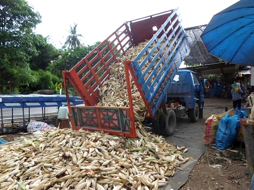 ขายรถบรรทุกหกล้อเครื่องอีสุสุ75แรง ช่วงล่างอีสุสุ85แรง วิ่งข้าว วิ่งมัน บรรทุกพืชผลการเกษตรทุกชนิดได้ เช็คแล้วพร้อมใช้ ส่งฟรี