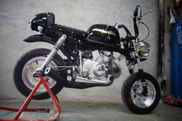 มังกี้ กอลิล่า แต่งๆๆ ลดราคาทุกรุ่นและมีของแถมอีกมากมาย  ด่วนๆๆ ลดๆๆ