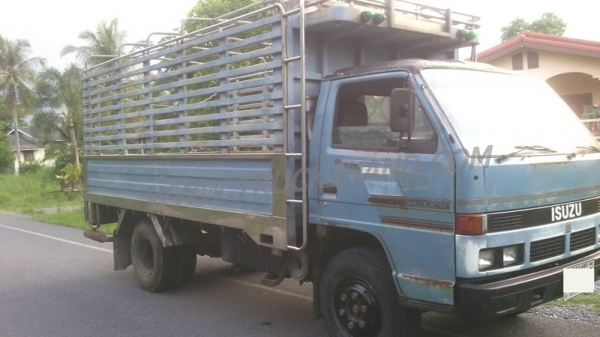 รถบรรทุก 6 ล้อ ISUZU NPR59LU5M กระบะคาร์โก้สแตนเลส ความยาว4.30 เมตร ยาง 8.25-16