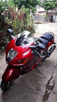 ขาย ฮายาบูสะ สรรพสามิตแท้