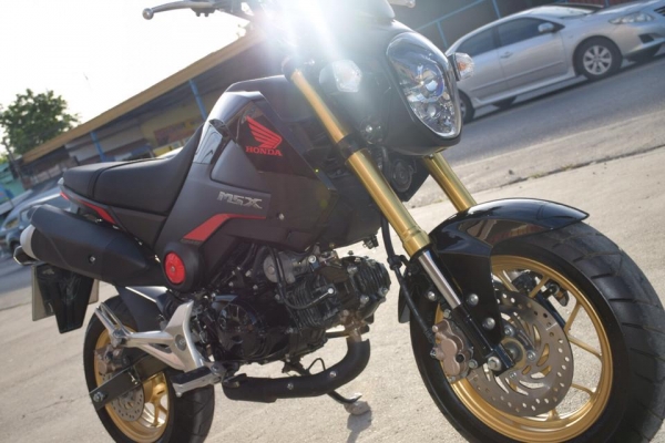 ขาย Honda Msx สีดำ ปี 58 ลายล่าสุด สภาพสวย เดิม ๆ ราคา เบา ๆ