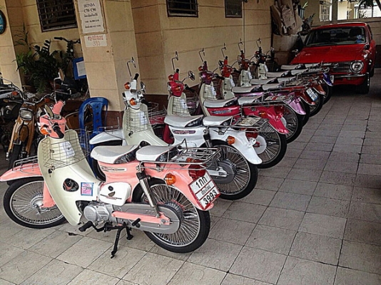 Jx110/C70/C90/รถดรีม100คุรุสภาสีขาว/แต่ละคันสวยๆพร้อมทะเบียนโอนได้รวมๆ 14คัน