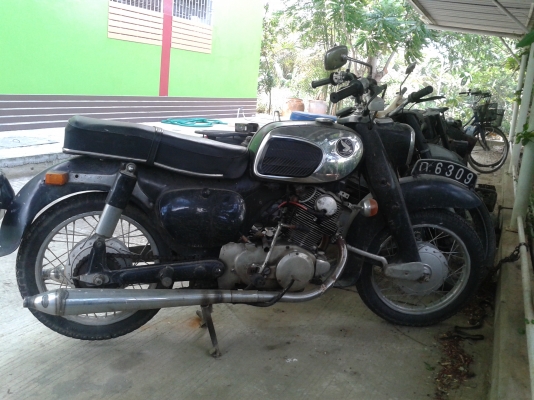 $$$$ ขายหมูยักษ์ c72 ราคา 63,000 $$$$$